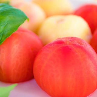 Astuce : Monder une tomate