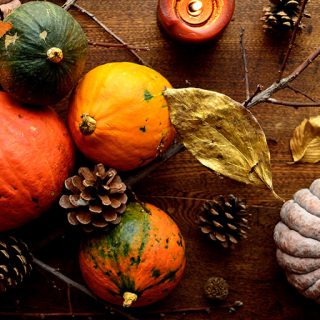 La courge vertueuse !