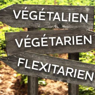 Végétarien, Vegan, Flexitarien ?