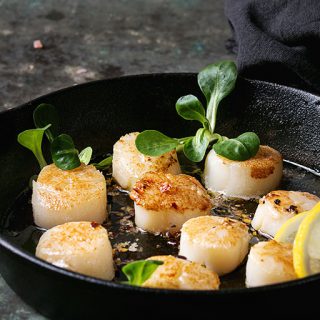 Saint-Jacques vs Pétoncle